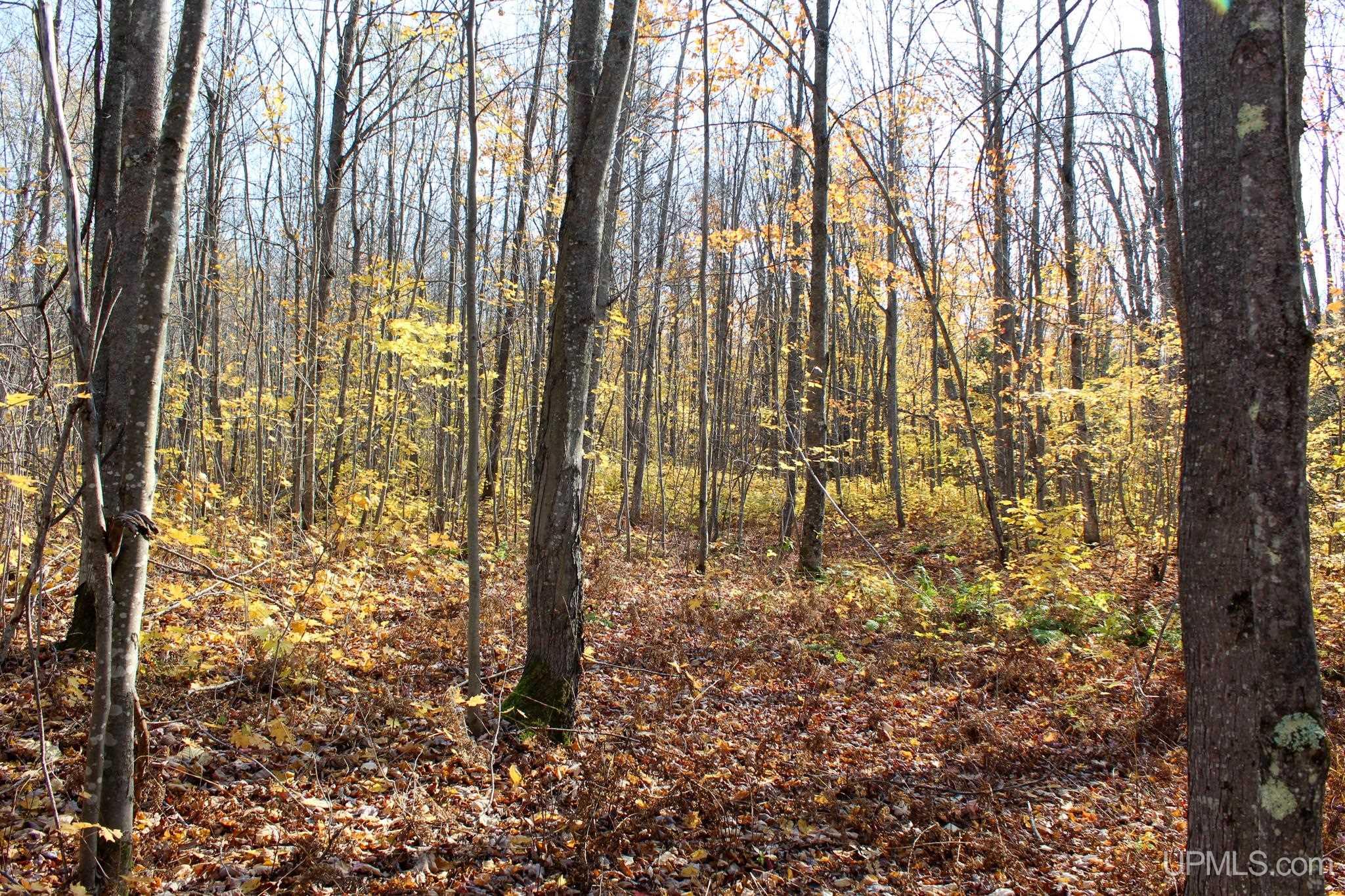 Tbd Pike River Road Chassell, MI 49916 - Photo 41 of 57 Gallery Image 41