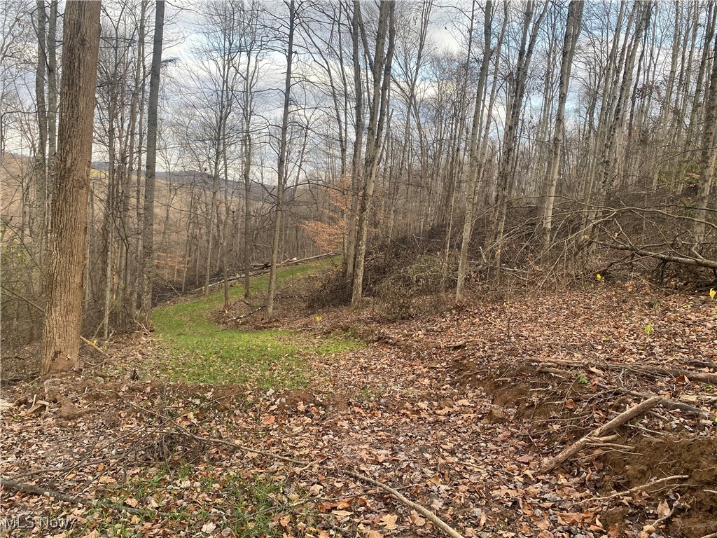 Hoot Owl Ridge Road Caldwell, OH 43724 - Photo 15 of 40 View of nature