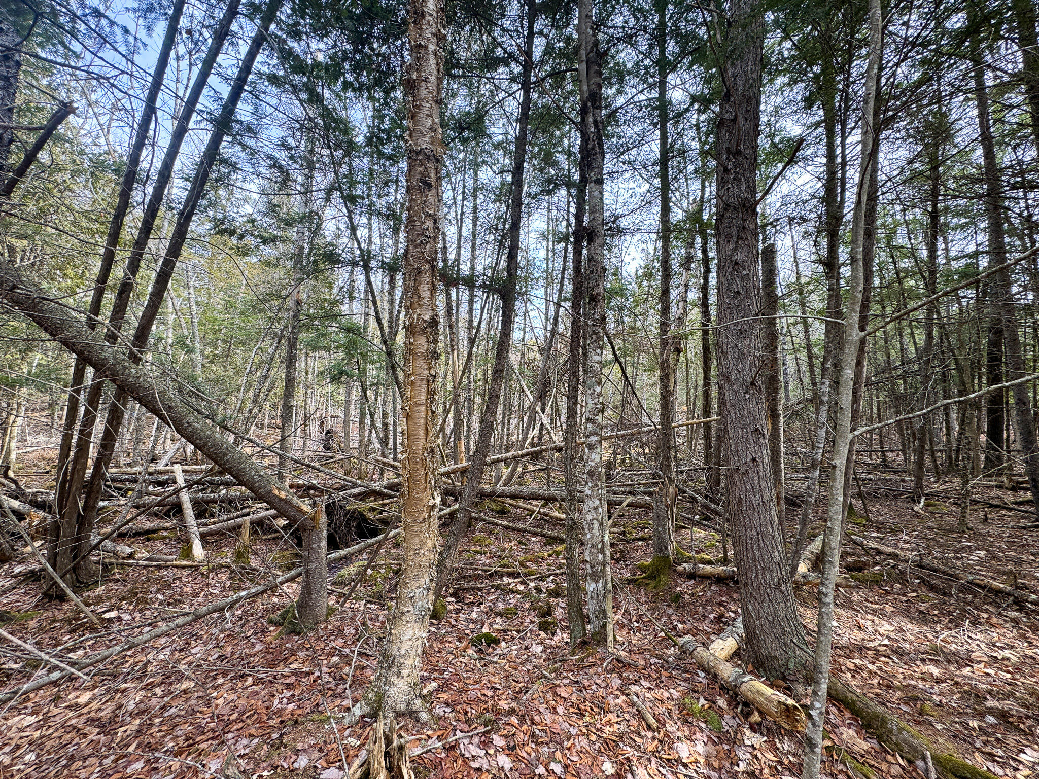 M11-l10 Gordon Hill Road Thorndike, ME 04986 - Photo 11 of 17