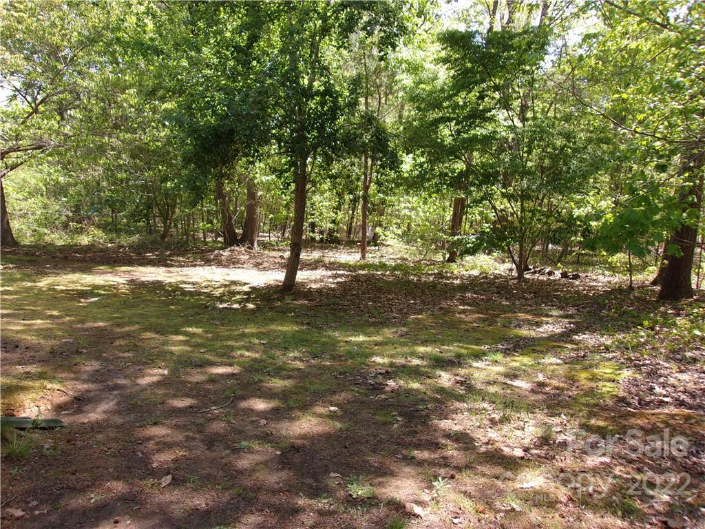 1059 South Castleview Road Salisbury, NC 28146 - Photo 31 of 34 a view of a tree with a yard