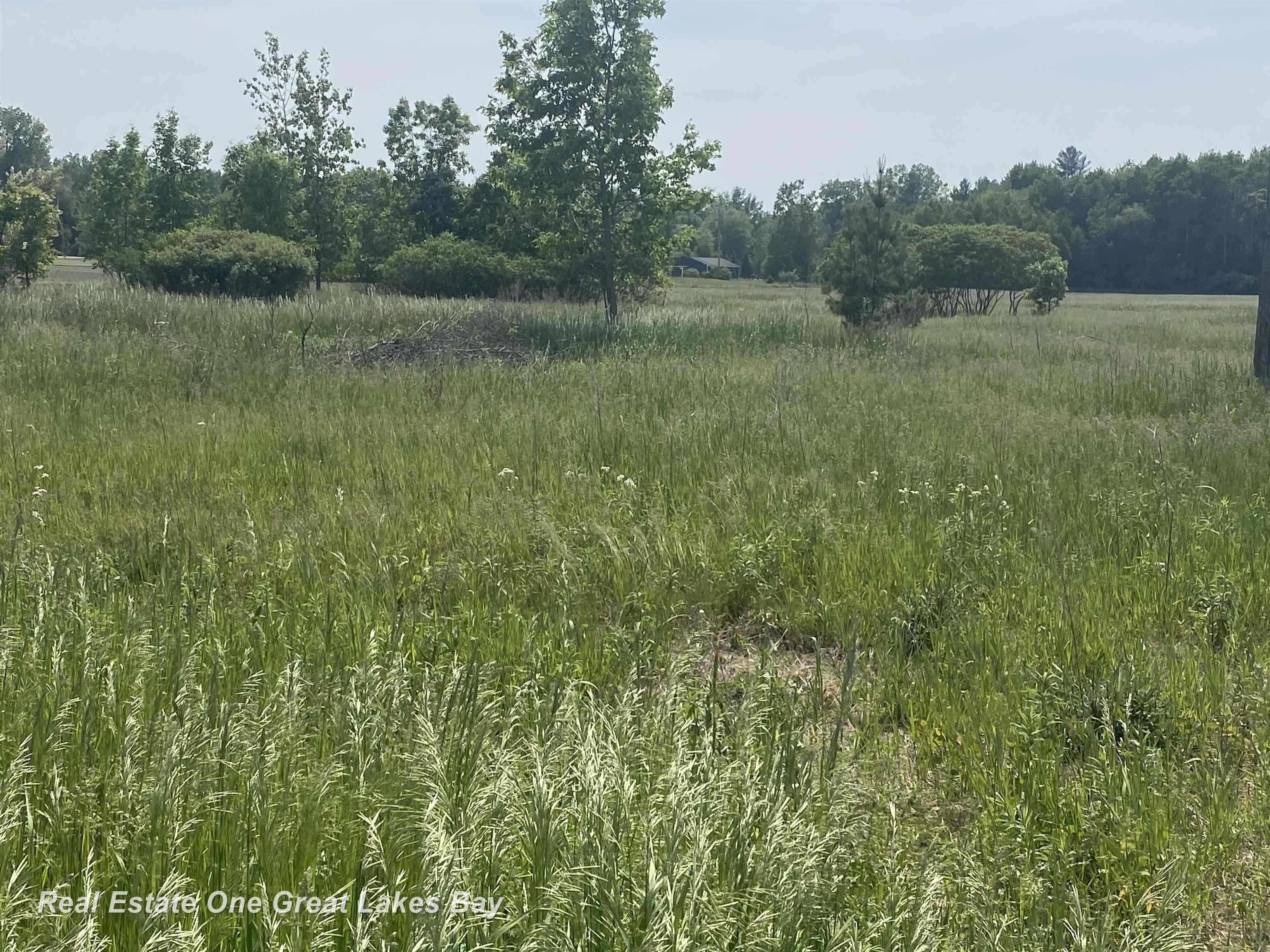 11 North 11 Mile Road Linwood, MI 48634 - Photo 2 of 3