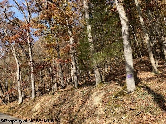 Tbd Holly Meadows Road Parsons, WV 26287 - Photo 21 of 21 Gallery Image 21
