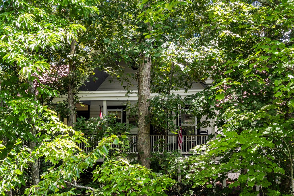 539 South Dream Catcher Blue Ridge, GA 30513 - Photo 39 of 48 Gallery Image 39