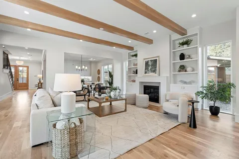 a living room with furniture a fireplace and a potted plant