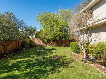 a view of a yard with plants and a large tree