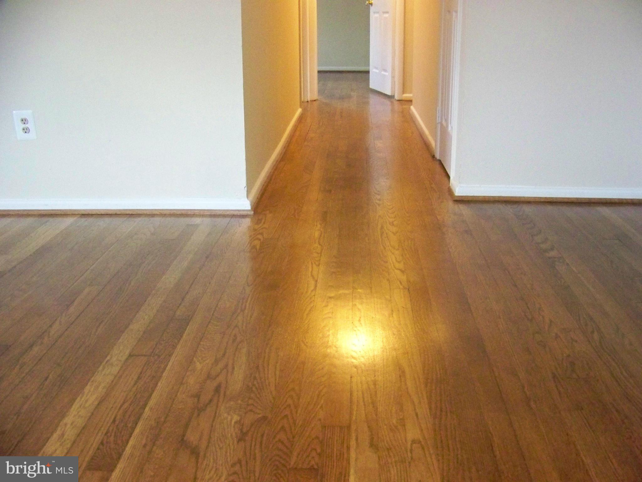 6016 Cipriano Road Lanham, MD 20706 - Photo 14 of 23 Living Room