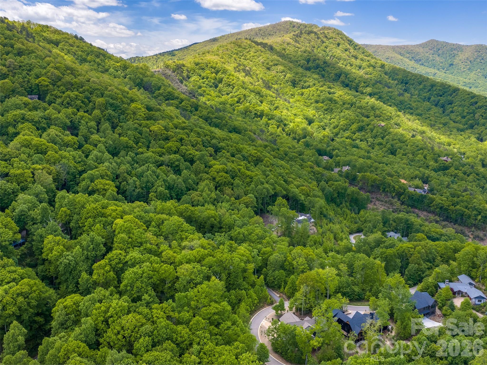 11 Crockett Ridge Road Black Mountain, NC 28711 - Photo 11 of 19 a view of a lush green field