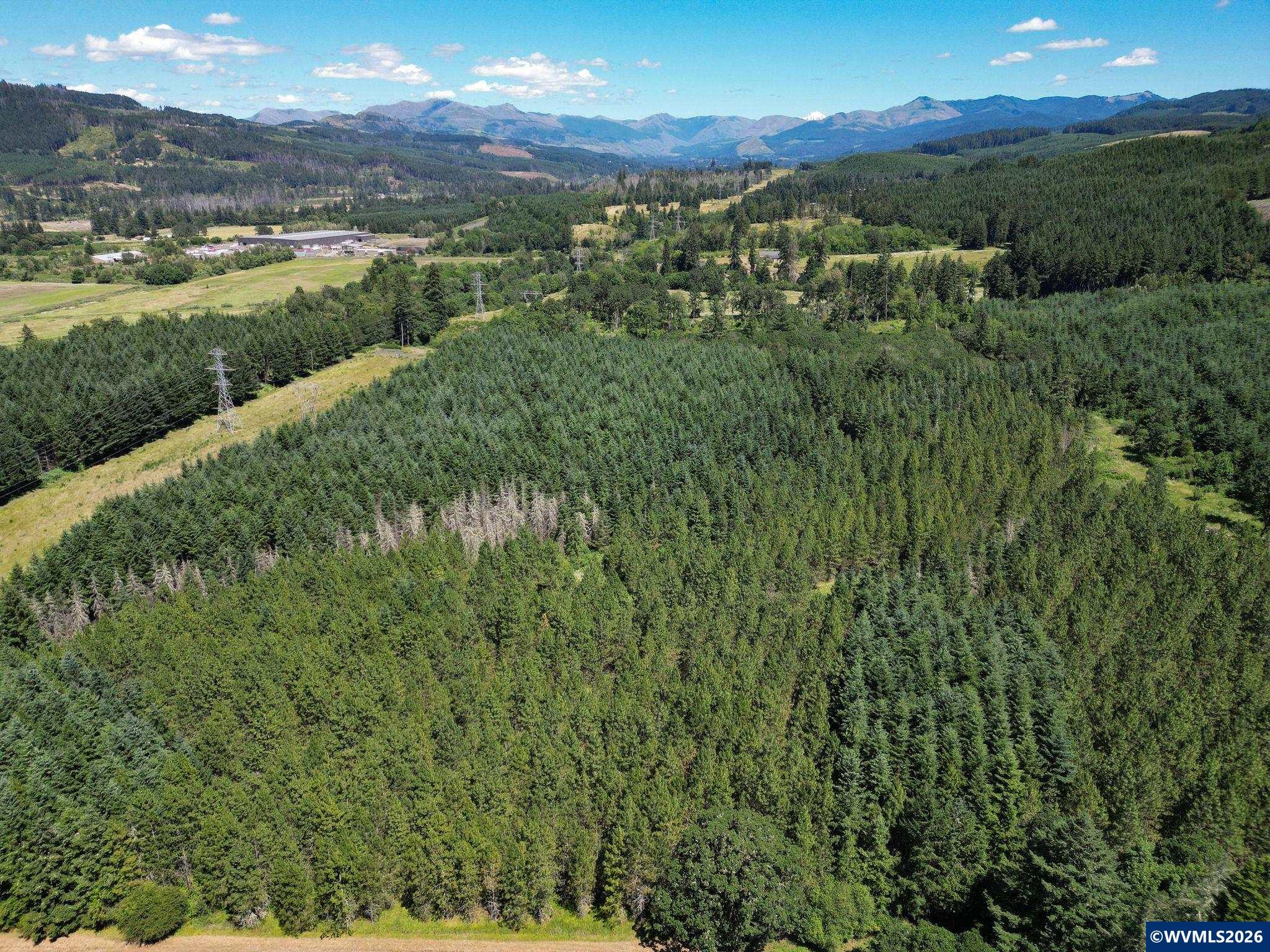 2702-2703 South Cedar Mill Road Lyons, OR 97358 - Photo 8 of 17