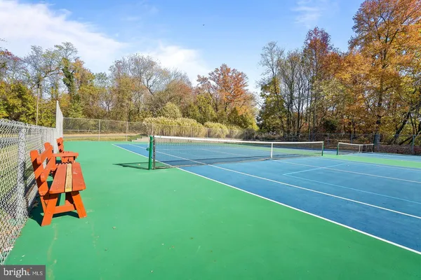 a view of backyard with a large tree