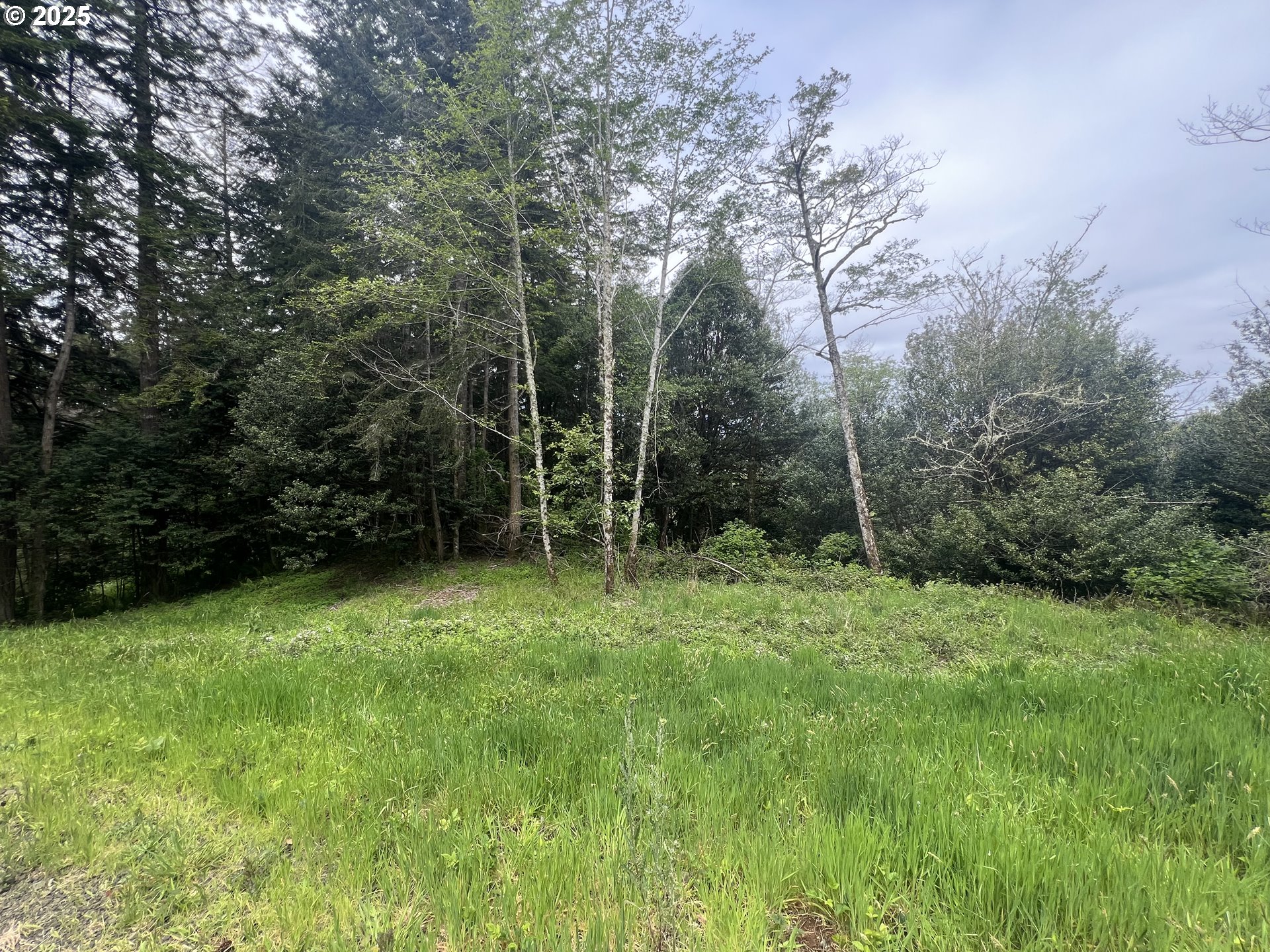 94253 Misty Ridge Lane North Bend, OR 97459 - Photo 11 of 14 Gallery Image 11