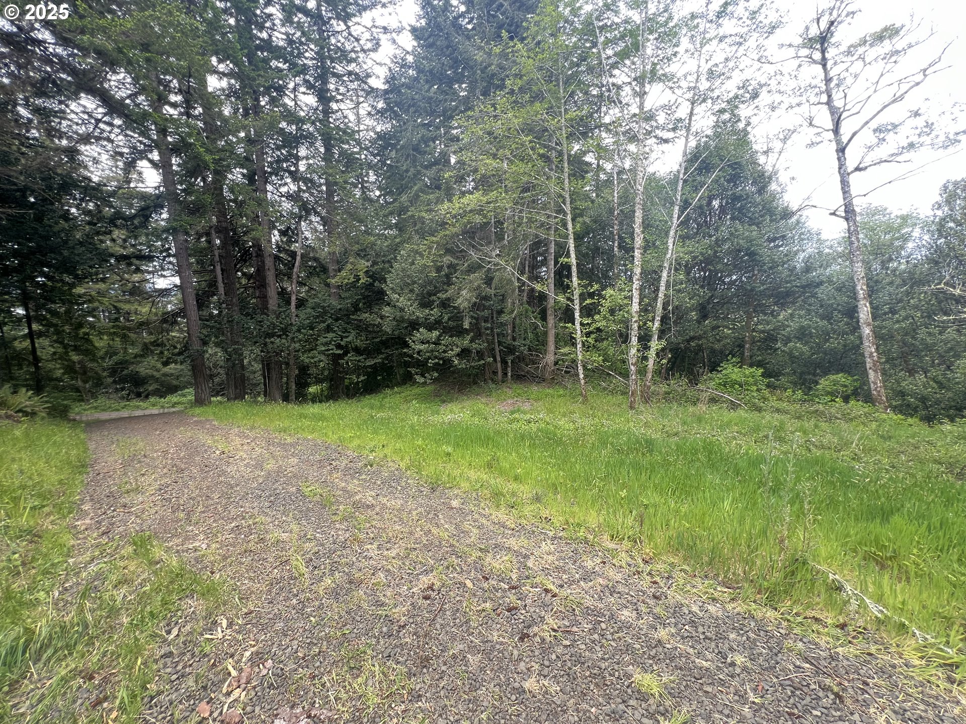 94253 Misty Ridge Lane North Bend, OR 97459 - Photo 9 of 14 Gallery Image 9