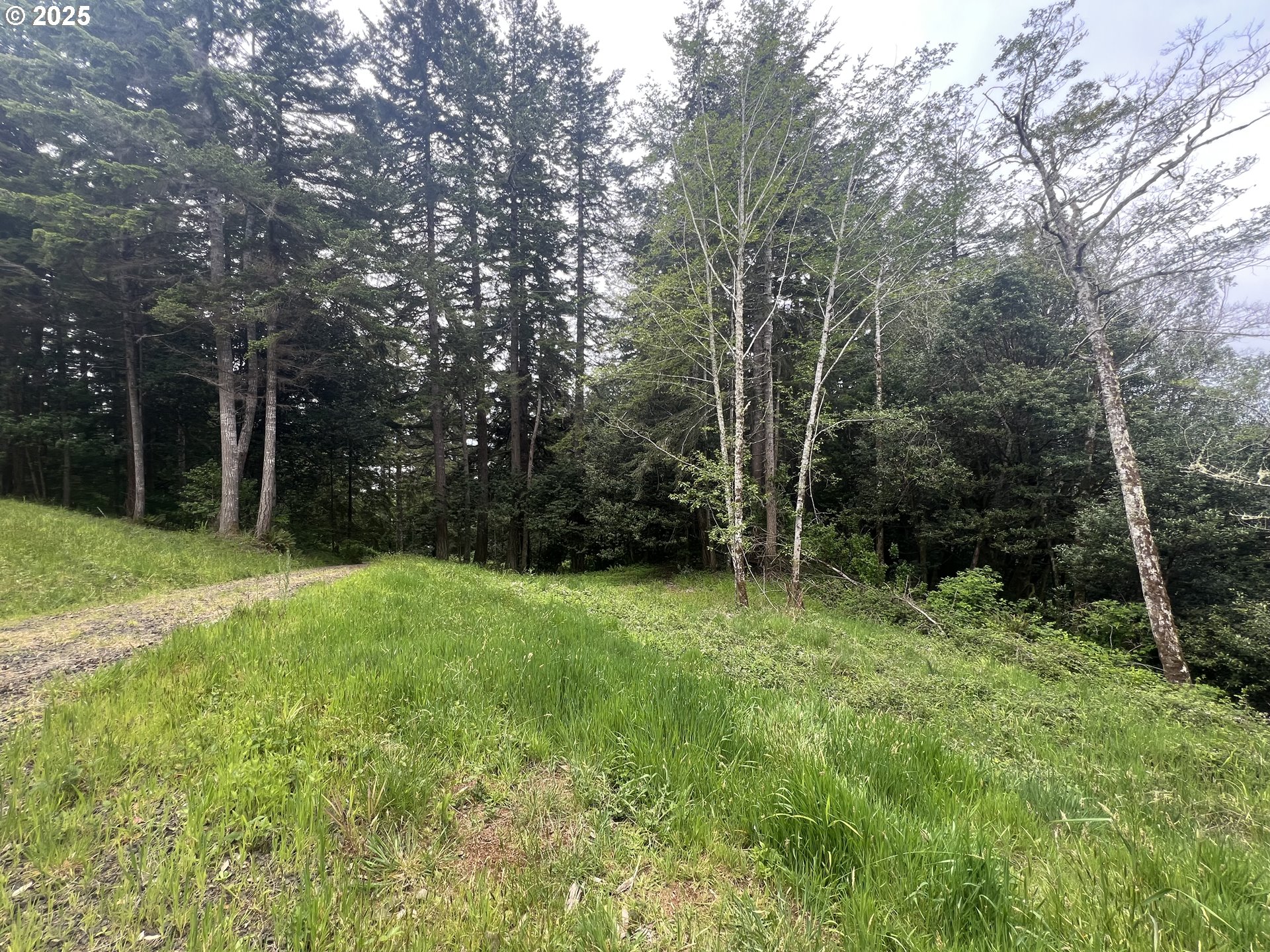 94253 Misty Ridge Lane North Bend, OR 97459 - Photo 10 of 14 Gallery Image 10