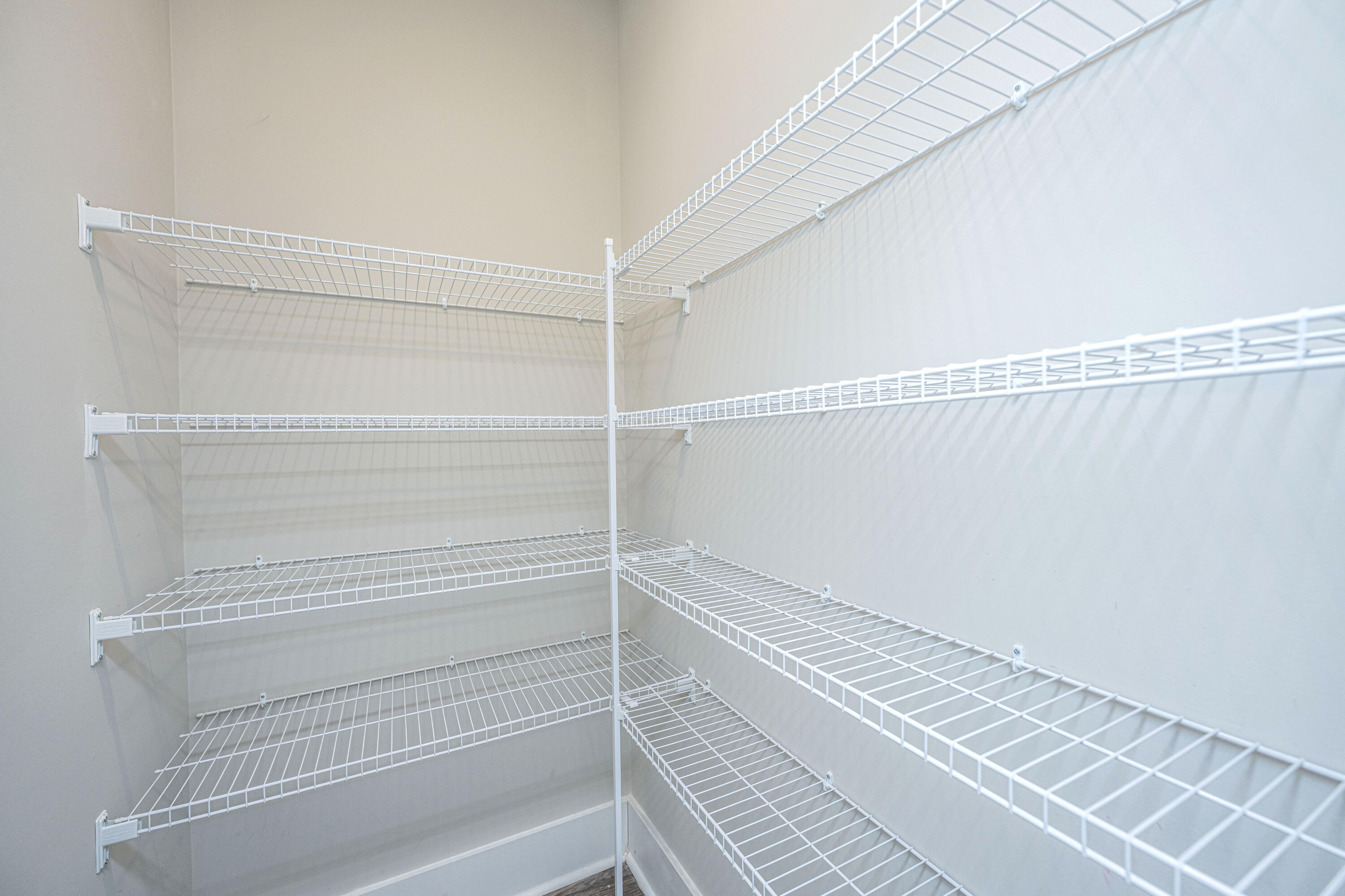 168 Clearblue Loop Summerville, SC 29486 - Photo 40 of 56 Walk-in Pantry