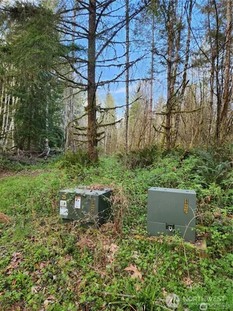a view of backyard with green space