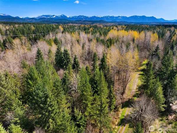 a view of house with a yard