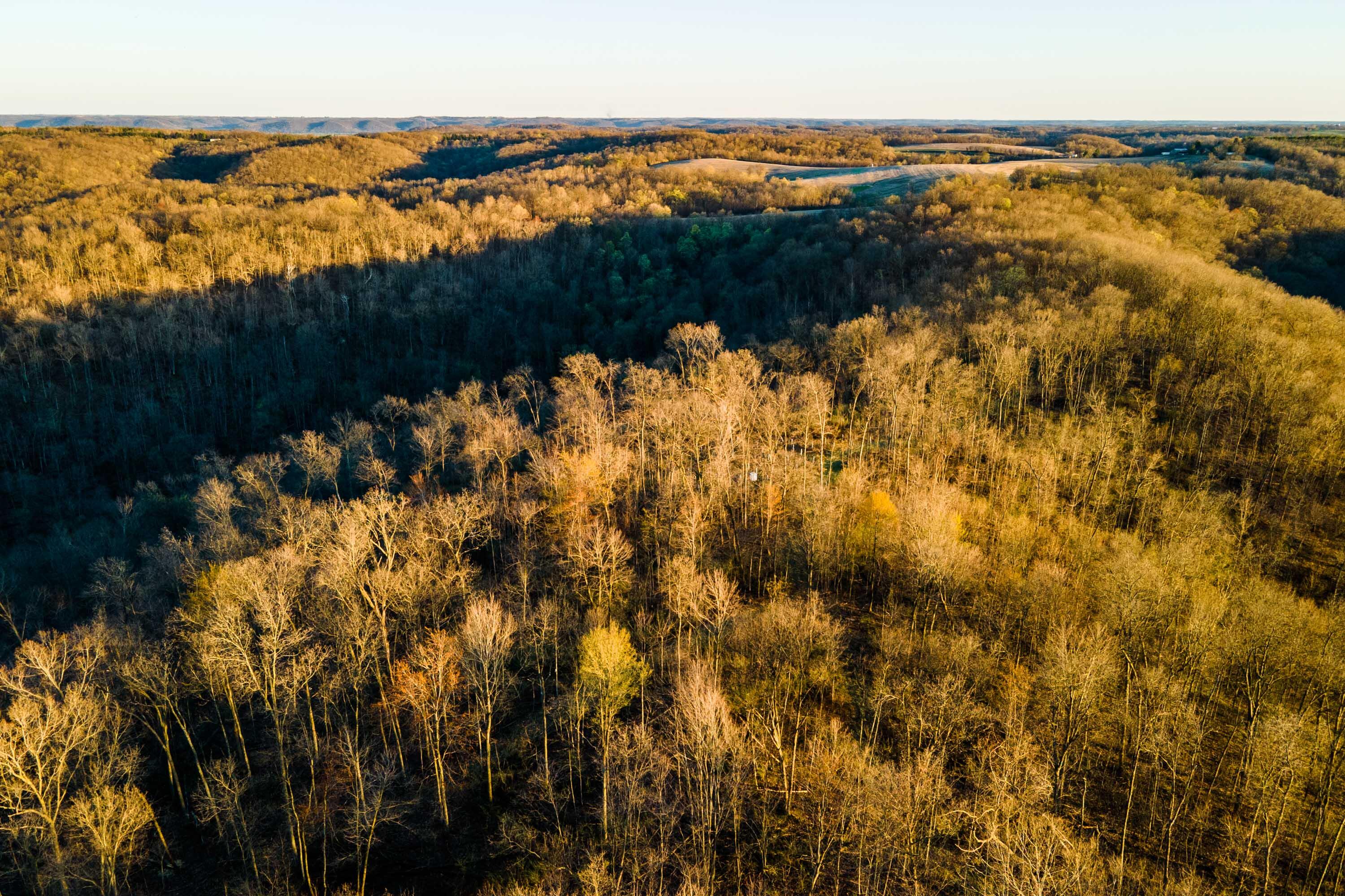 Crawford-County-WI-65-Acres-Land-For-Sal