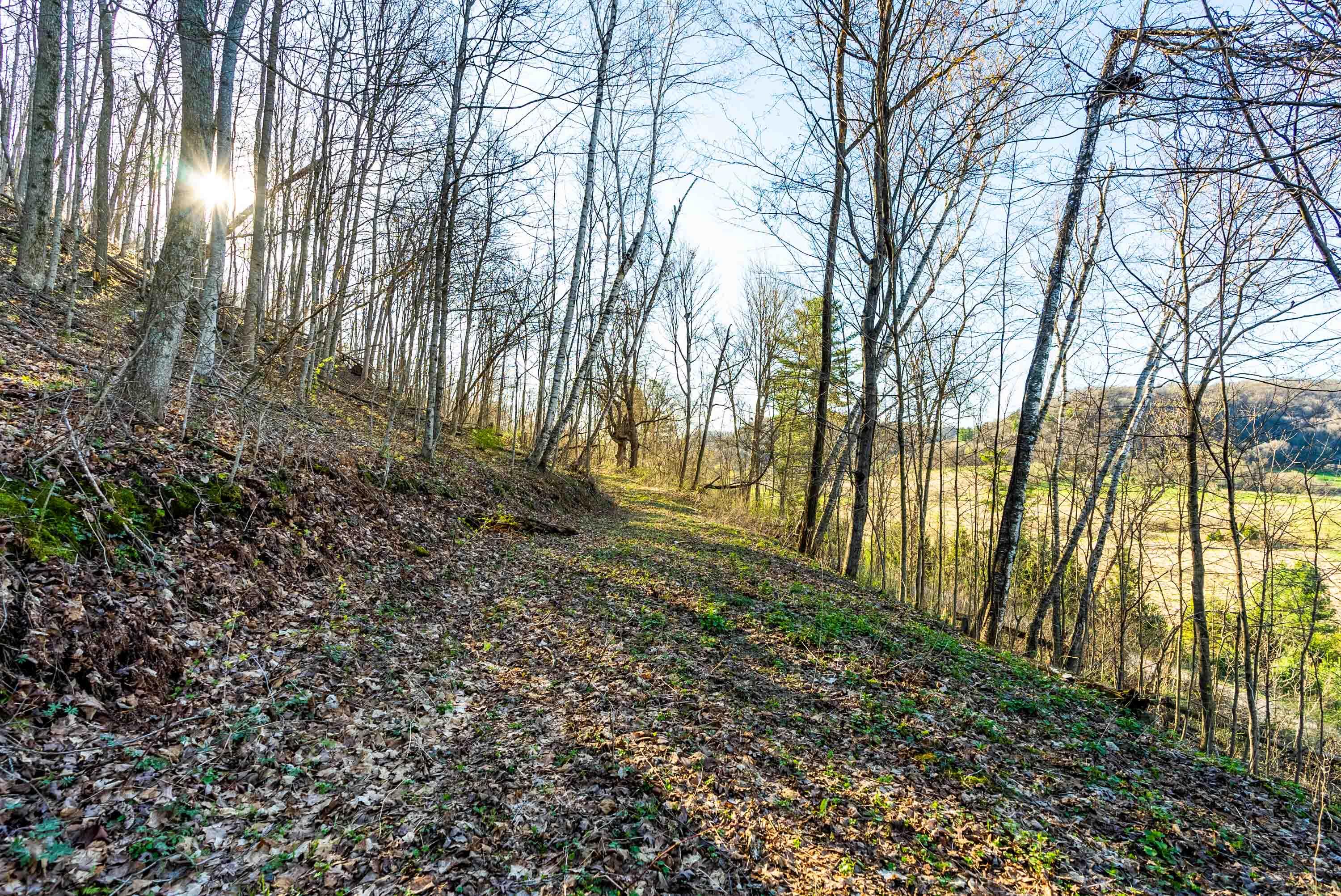 40009 County Road South Scott, WI 53518 - Photo 22 of 69 Crawford-County-WI-65-Acres-Land-For-Sal