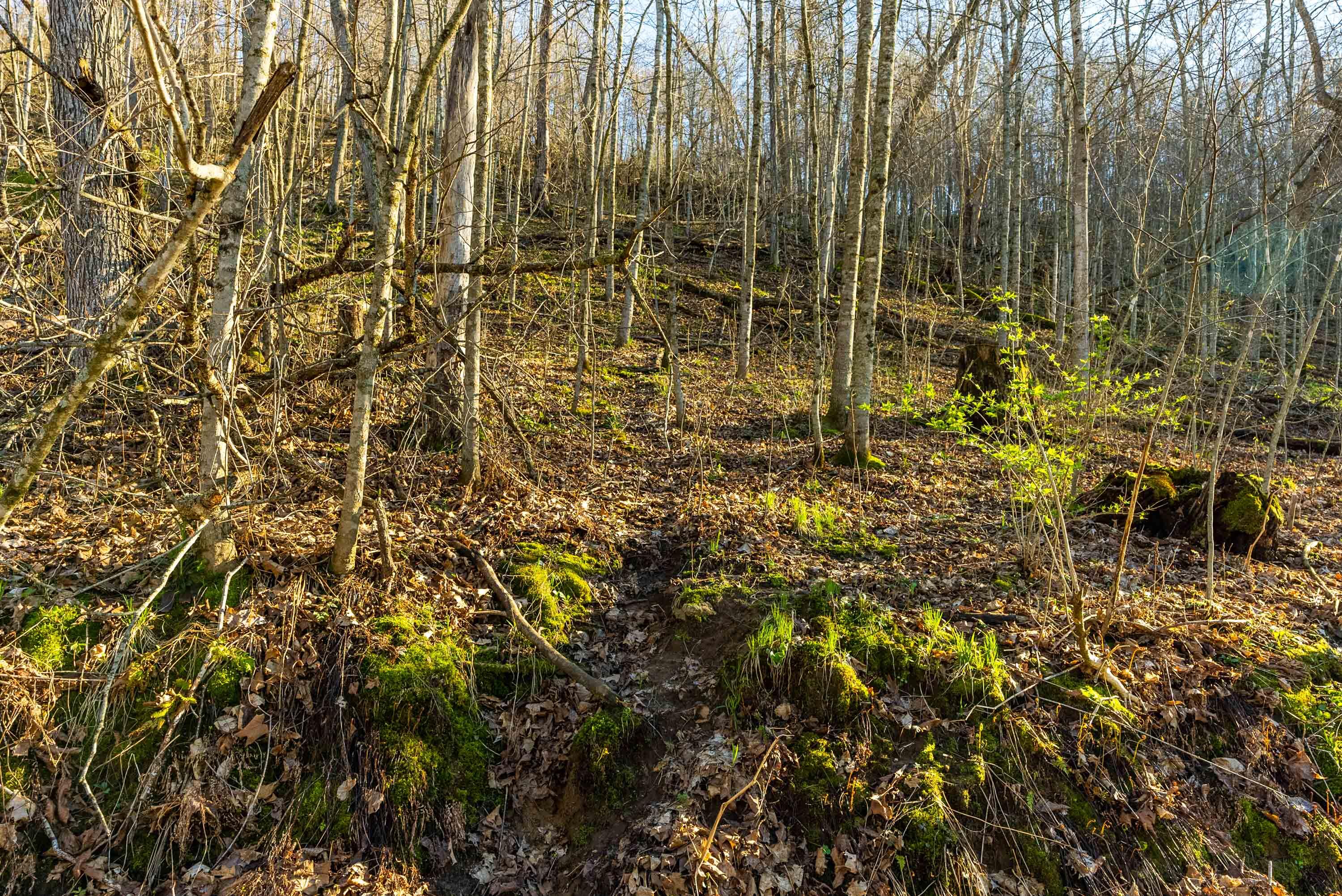 40009 County Road South Scott, WI 53518 - Photo 23 of 69 Crawford-County-WI-65-Acres-Land-For-Sal