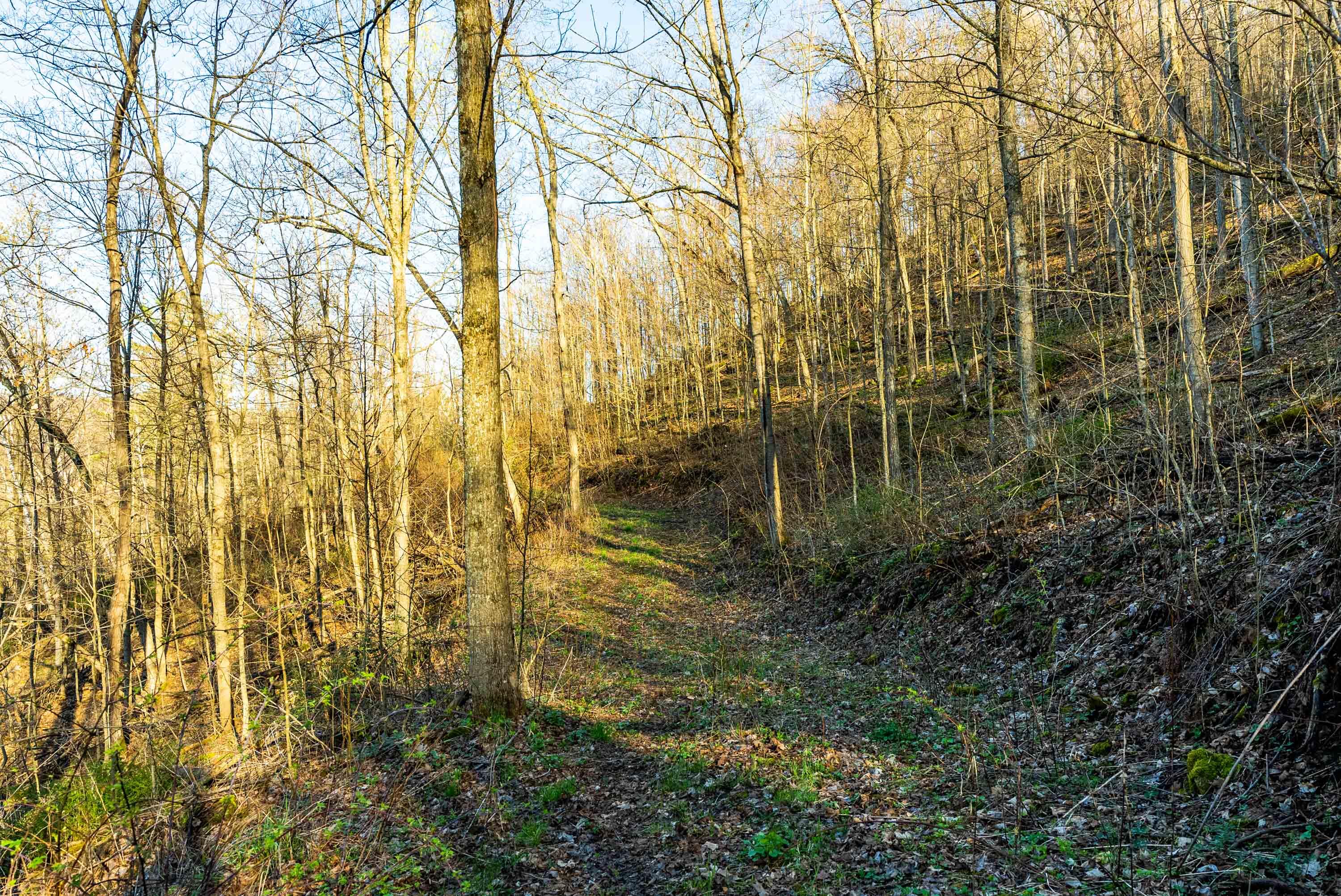40009 County Road South Scott, WI 53518 - Photo 24 of 69 Crawford-County-WI-65-Acres-Land-For-Sal