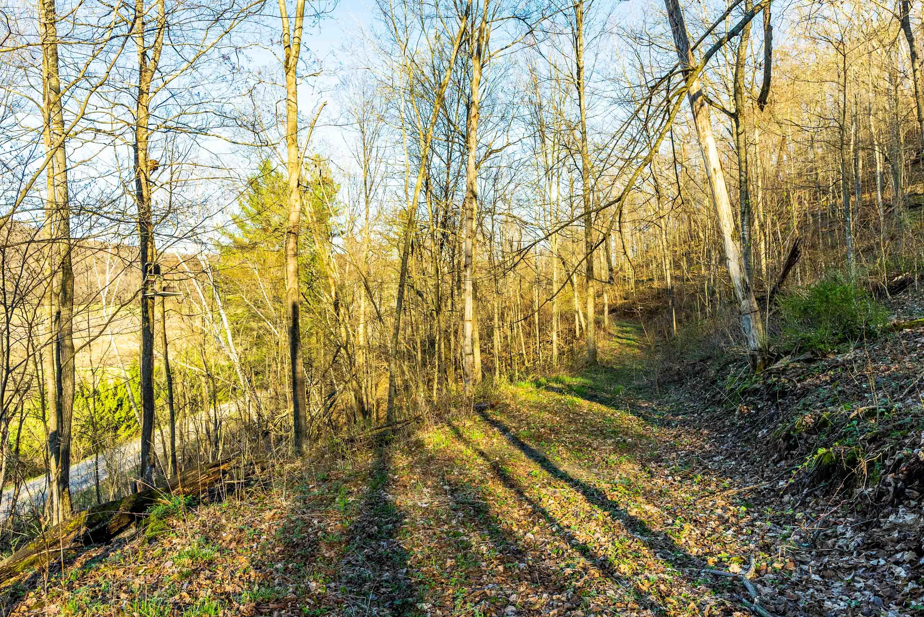 40009 County Road South Scott, WI 53518 - Photo 25 of 69 Crawford-County-WI-65-Acres-Land-For-Sal