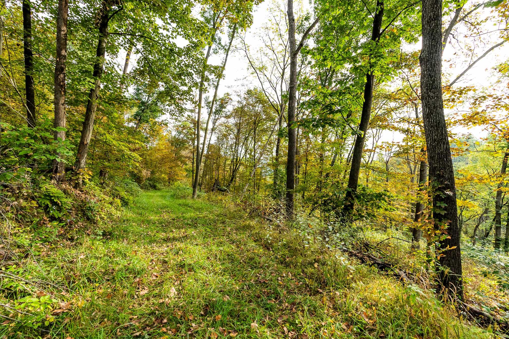 40009 County Road South Scott, WI 53518 - Photo 30 of 69 Crawford-County-WI-65-Acres-Land-For-Sal