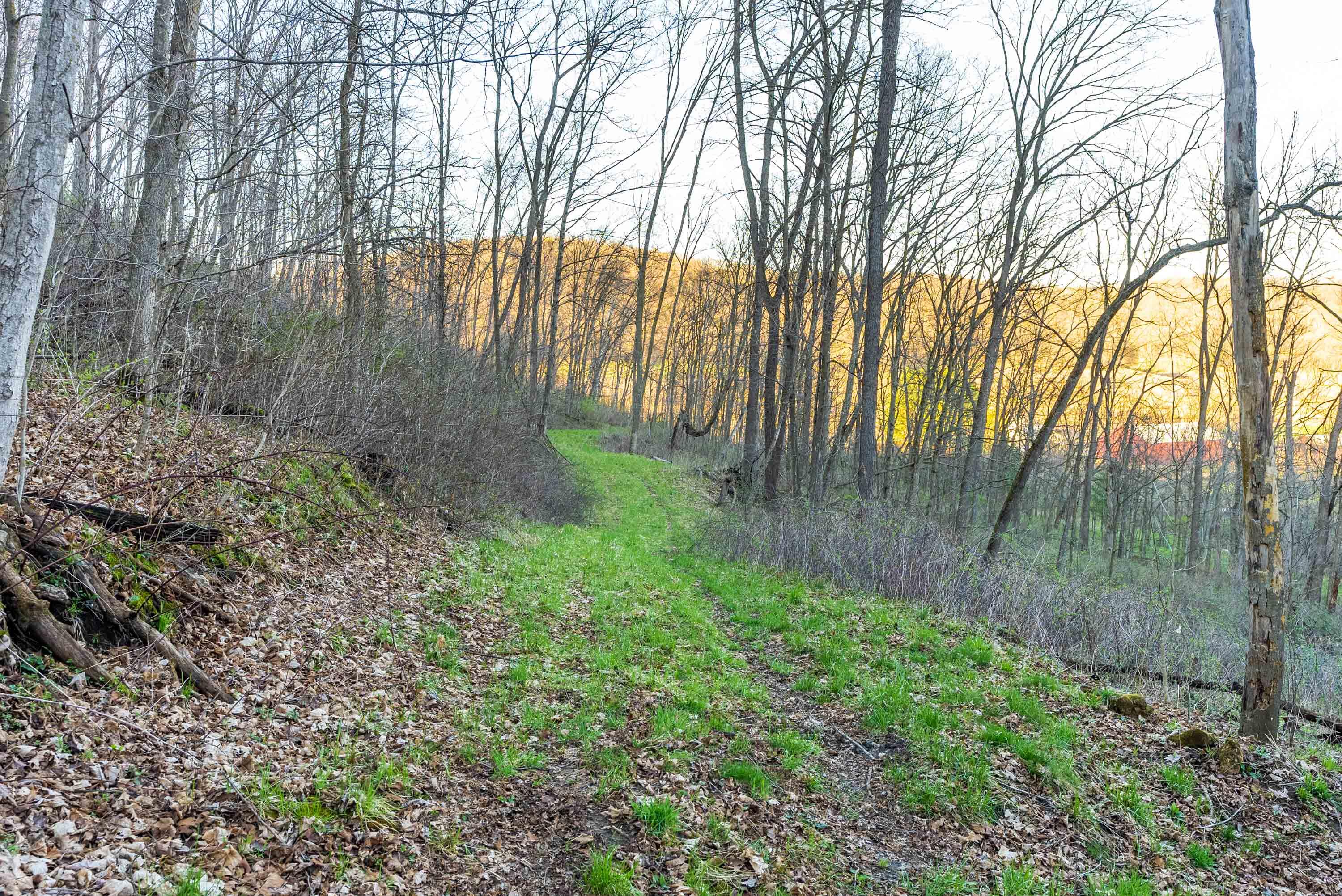 40009 County Road South Scott, WI 53518 - Photo 31 of 69 Crawford-County-WI-65-Acres-Land-For-Sal