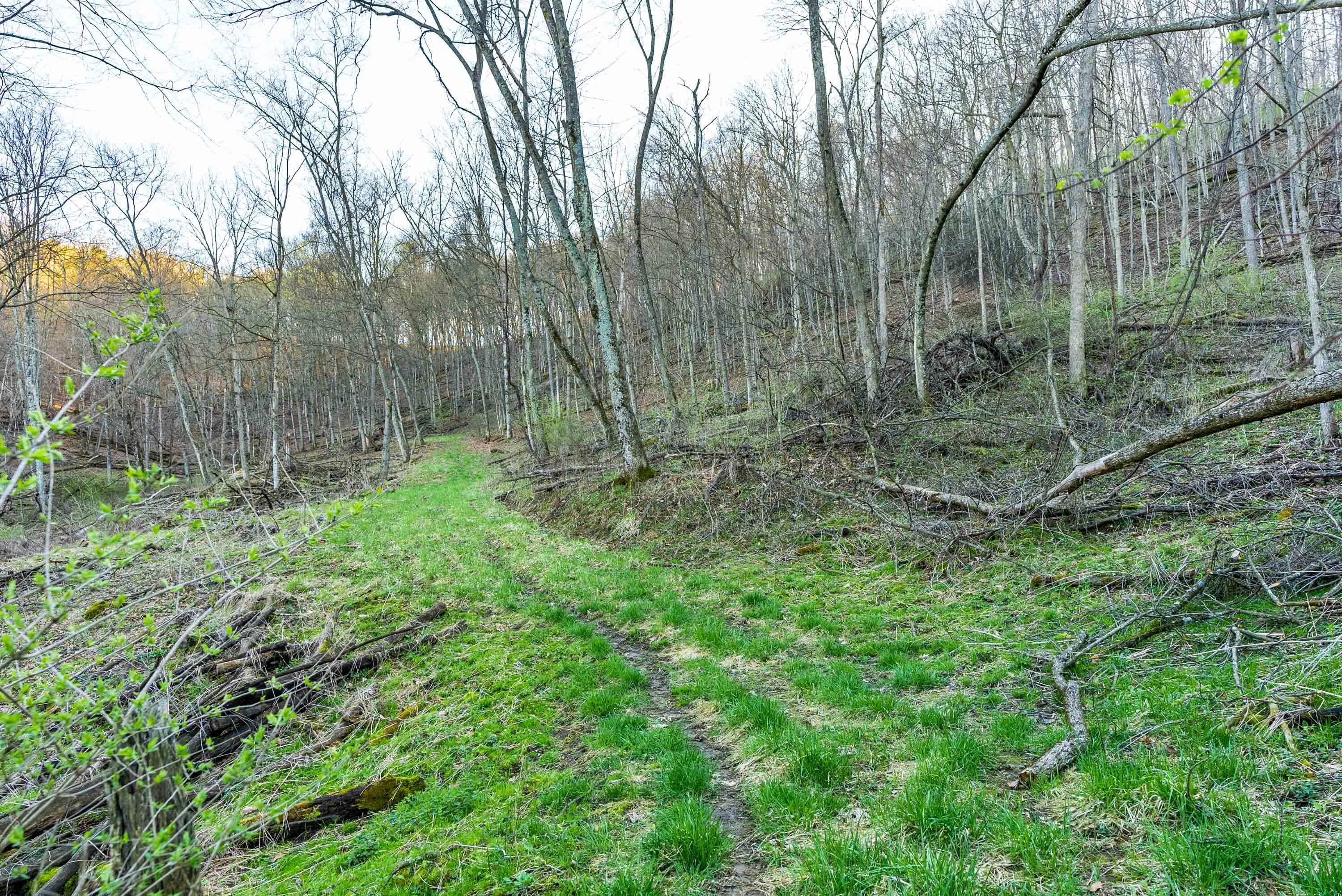 40009 County Road South Scott, WI 53518 - Photo 34 of 69 Crawford-County-WI-65-Acres-Land-For-Sal