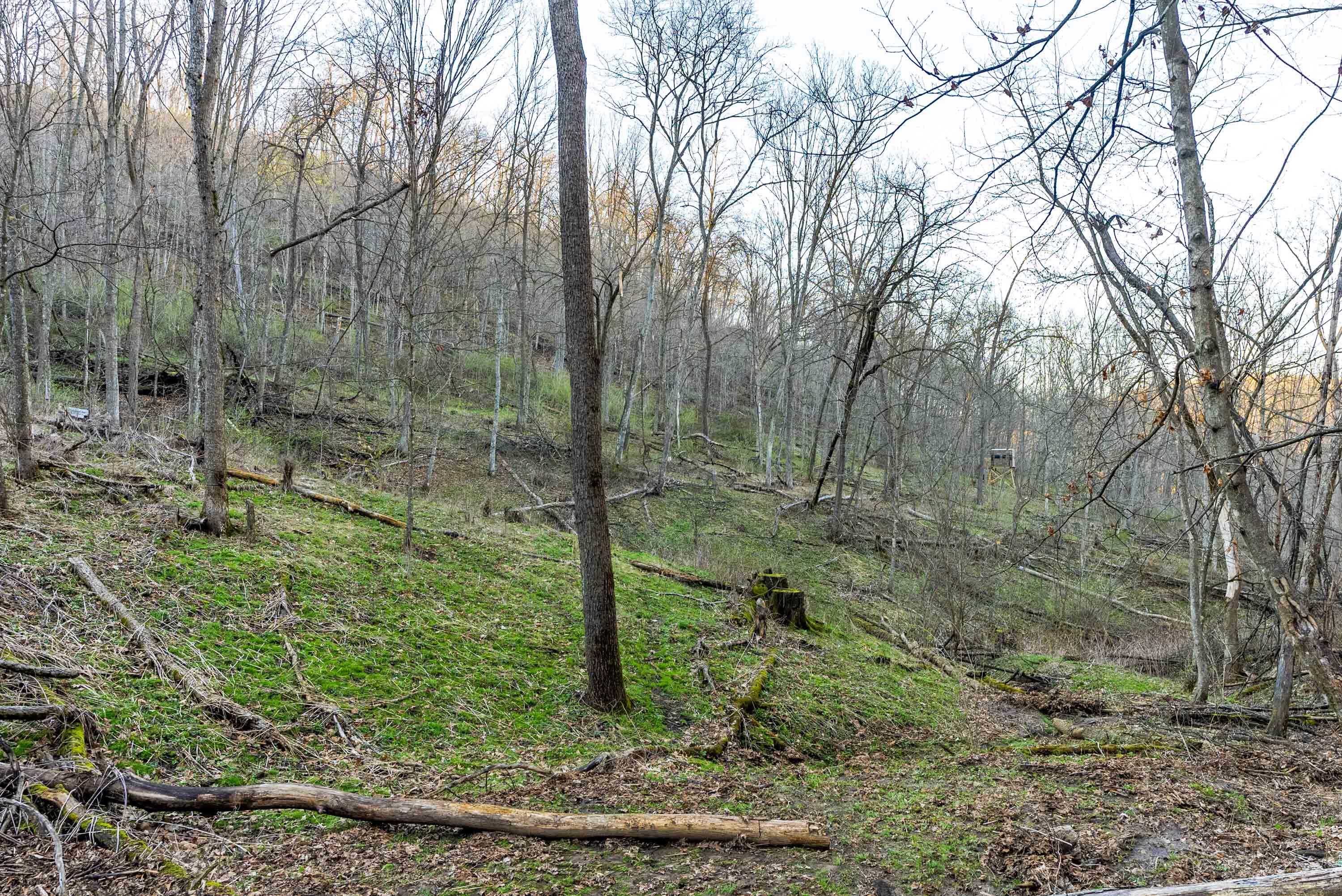 40009 County Road South Scott, WI 53518 - Photo 37 of 69 Crawford-County-WI-65-Acres-Land-For-Sal