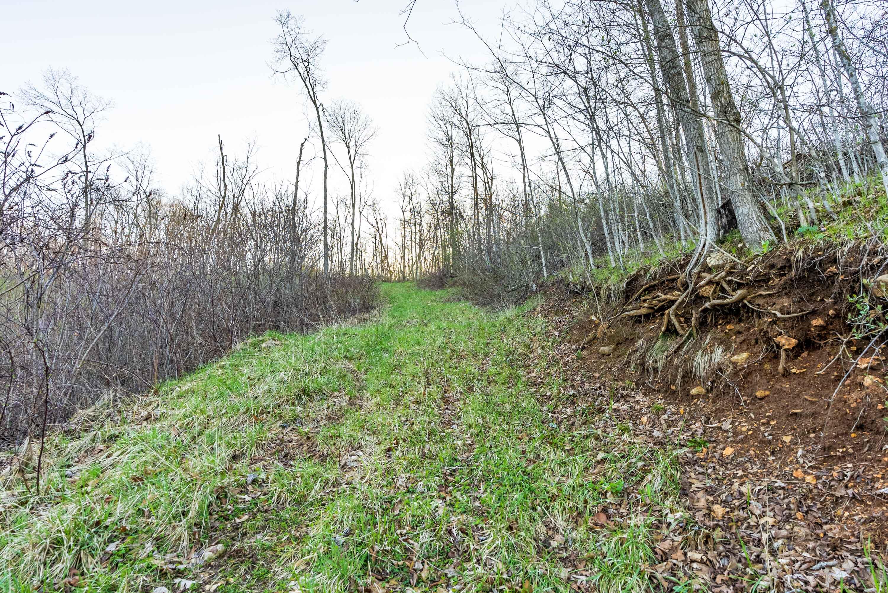 40009 County Road South Scott, WI 53518 - Photo 41 of 69 Crawford-County-WI-65-Acres-Land-For-Sal