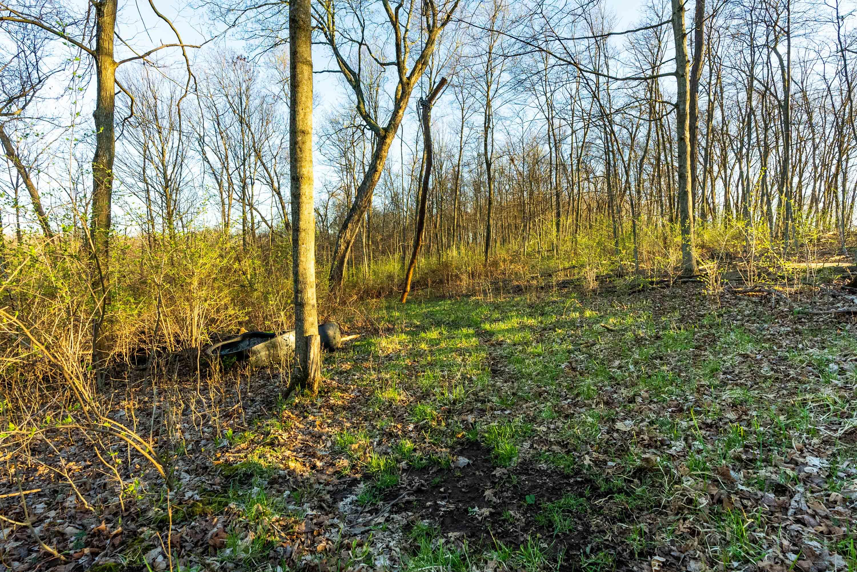 40009 County Road South Scott, WI 53518 - Photo 43 of 69 Crawford-County-WI-65-Acres-Land-For-Sal