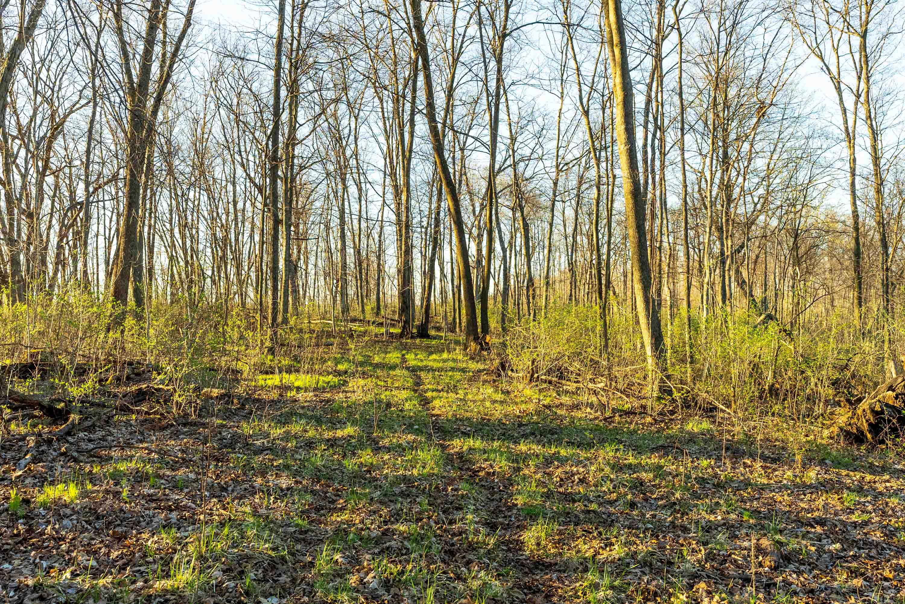 40009 County Road South Scott, WI 53518 - Photo 50 of 69 Crawford-County-WI-65-Acres-Land-For-Sal