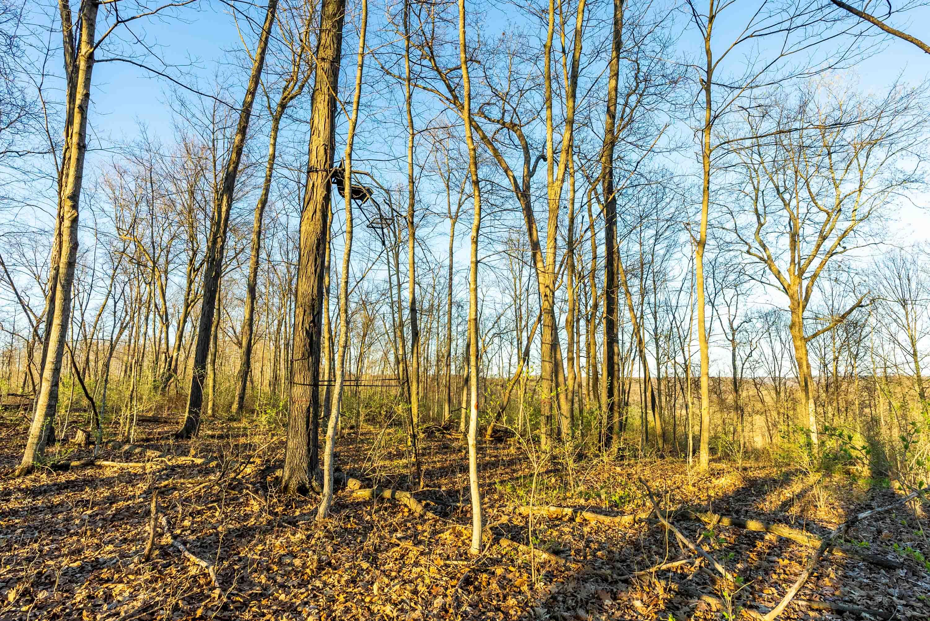 40009 County Road South Scott, WI 53518 - Photo 51 of 69 Crawford-County-WI-65-Acres-Land-For-Sal