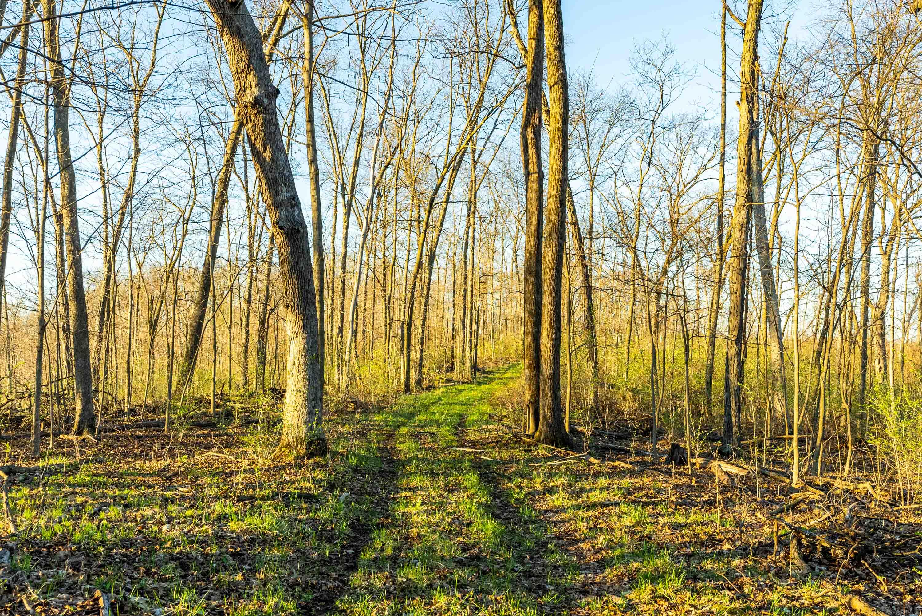 40009 County Road South Scott, WI 53518 - Photo 52 of 69 Crawford-County-WI-65-Acres-Land-For-Sal