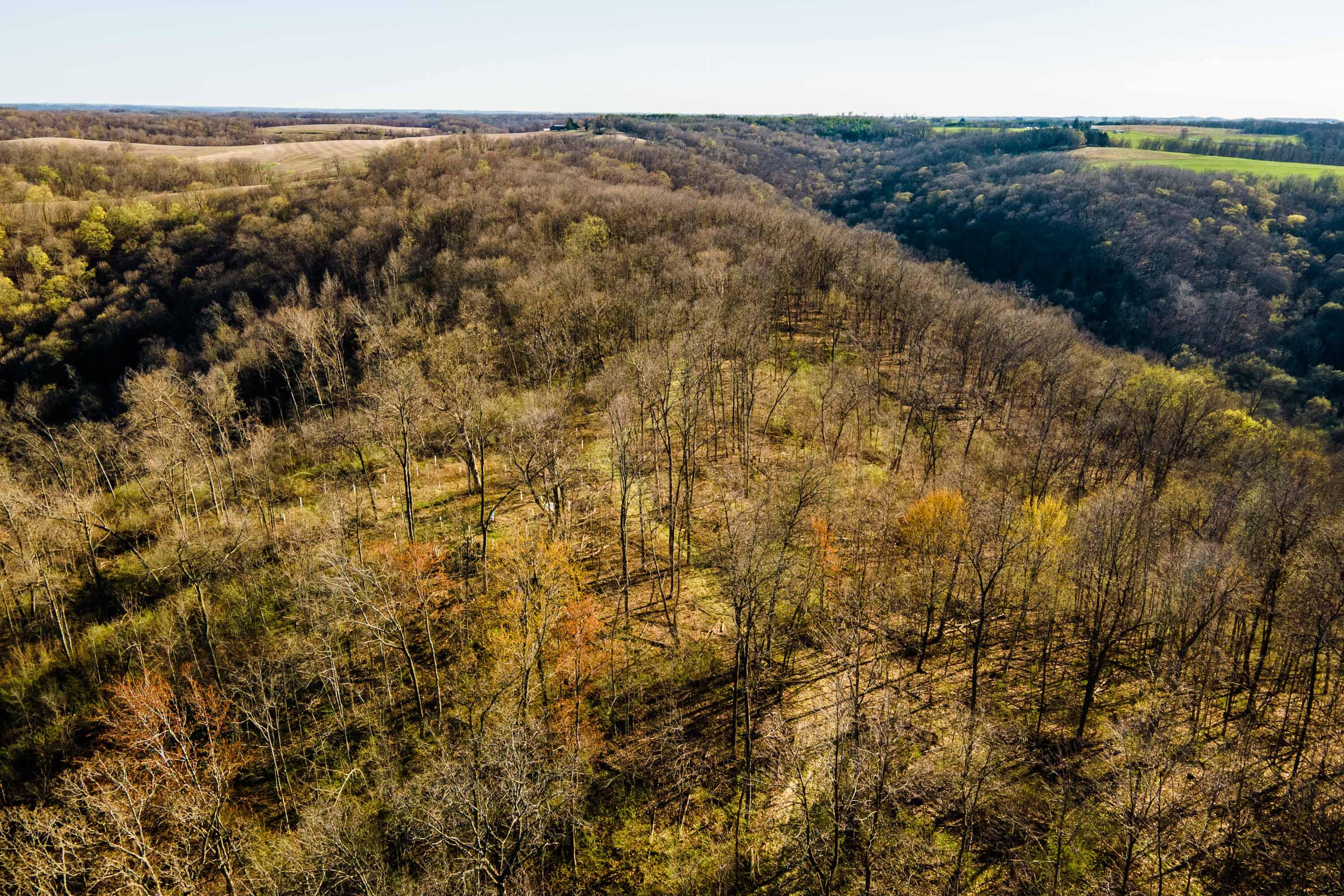 40009 County Road South Scott, WI 53518 - Photo 55 of 69 Crawford-County-WI-65-Acres-Land-For-Sal