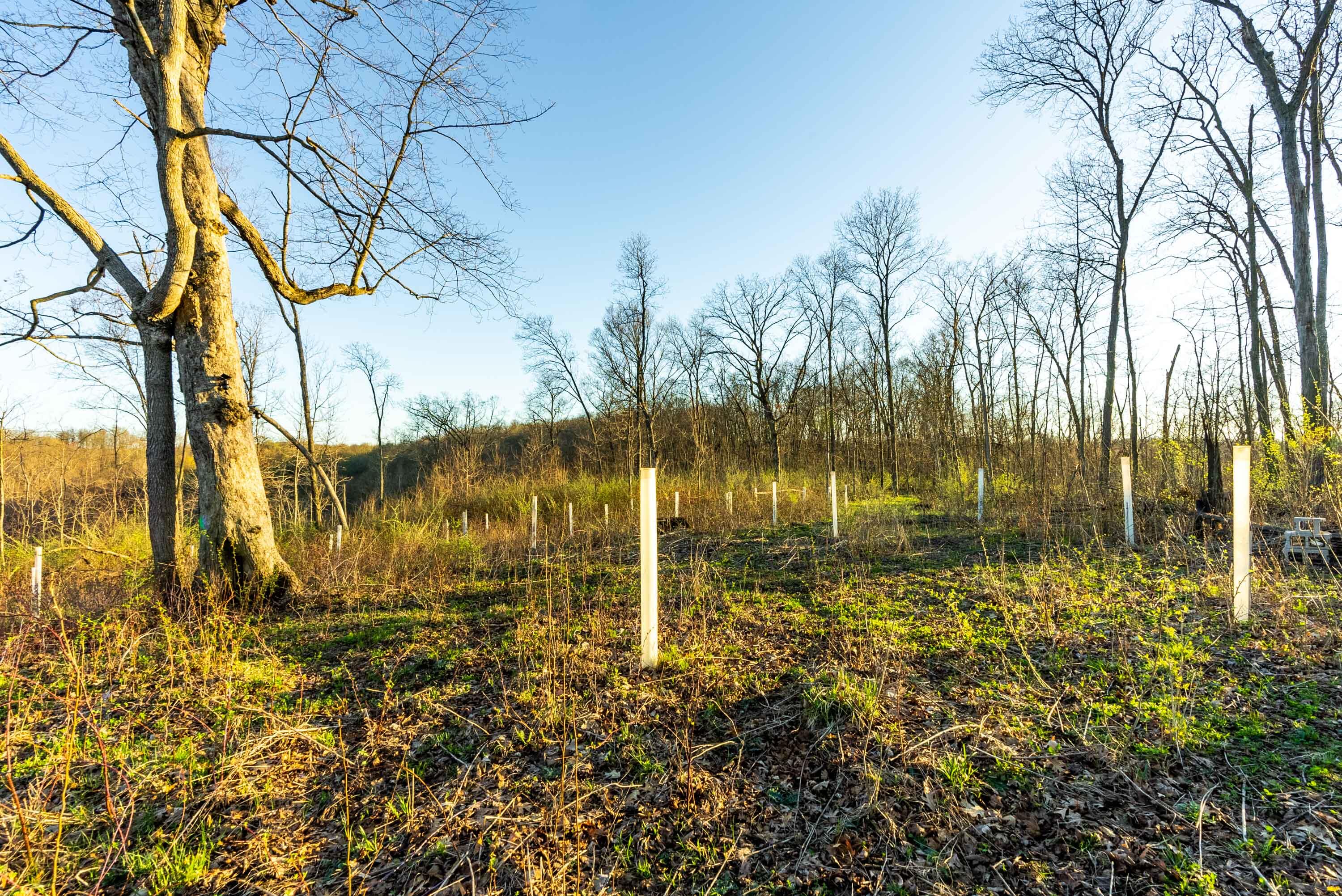 40009 County Road South Scott, WI 53518 - Photo 56 of 69 Crawford-County-WI-65-Acres-Land-For-Sal