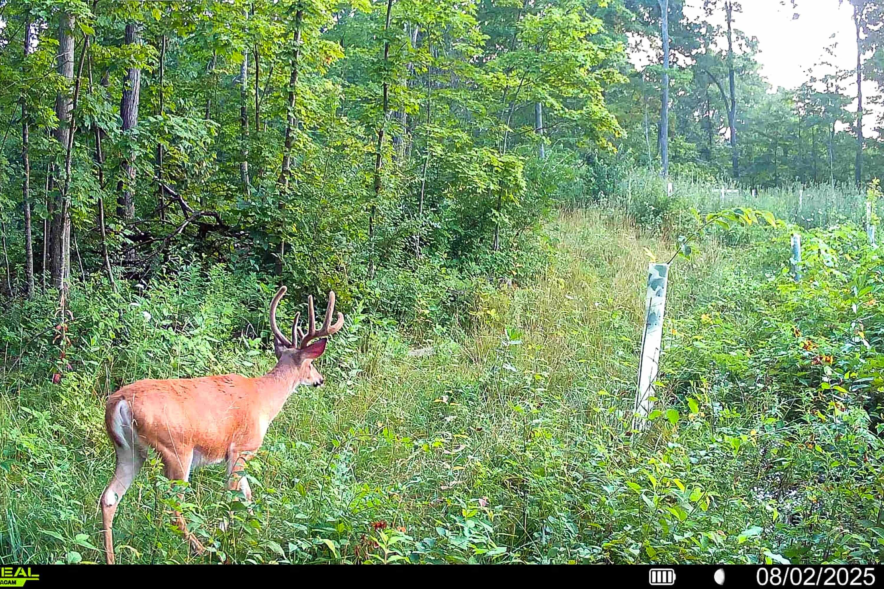40009 County Road South Scott, WI 53518 - Photo 58 of 69 Crawford-County-WI-65-Acres-Land-For-Sal