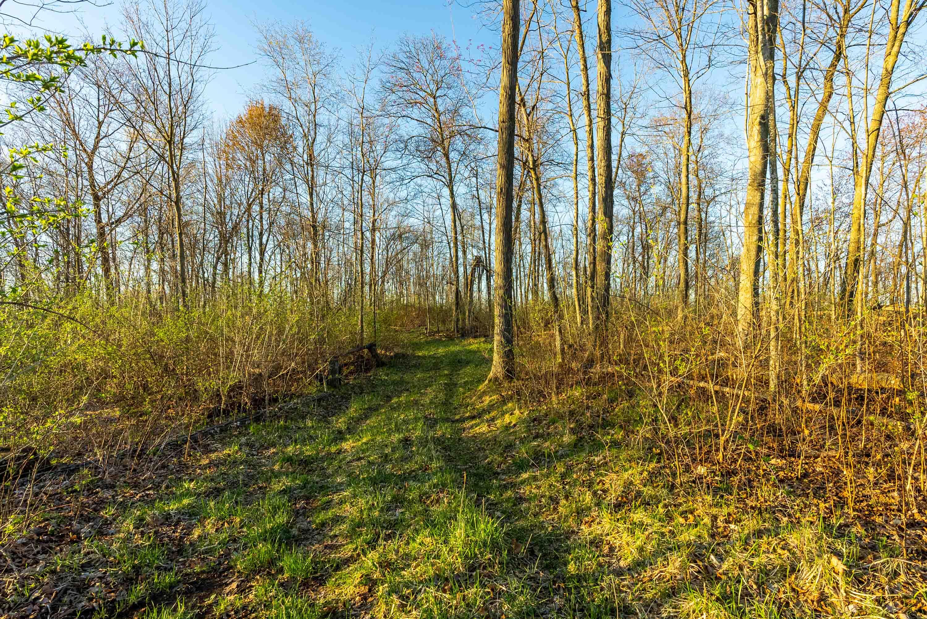 40009 County Road South Scott, WI 53518 - Photo 60 of 69 Crawford-County-WI-65-Acres-Land-For-Sal