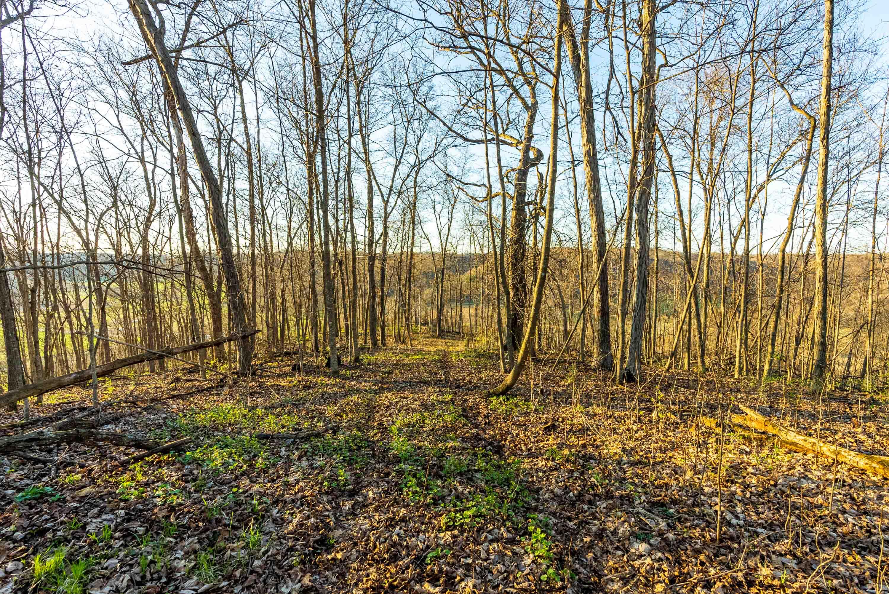 40009 County Road South Scott, WI 53518 - Photo 61 of 69 Crawford-County-WI-65-Acres-Land-For-Sal