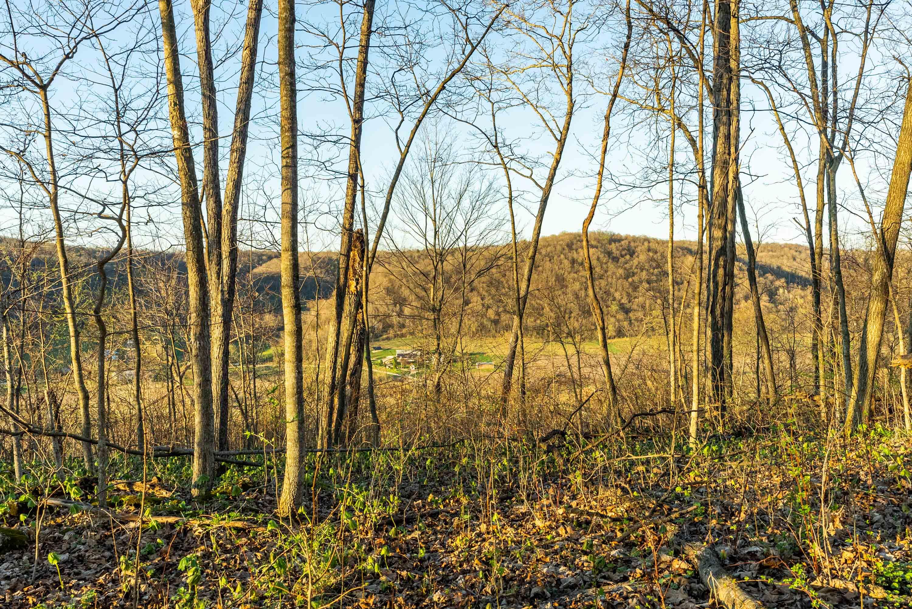 40009 County Road South Scott, WI 53518 - Photo 62 of 69 Crawford-County-WI-65-Acres-Land-For-Sal