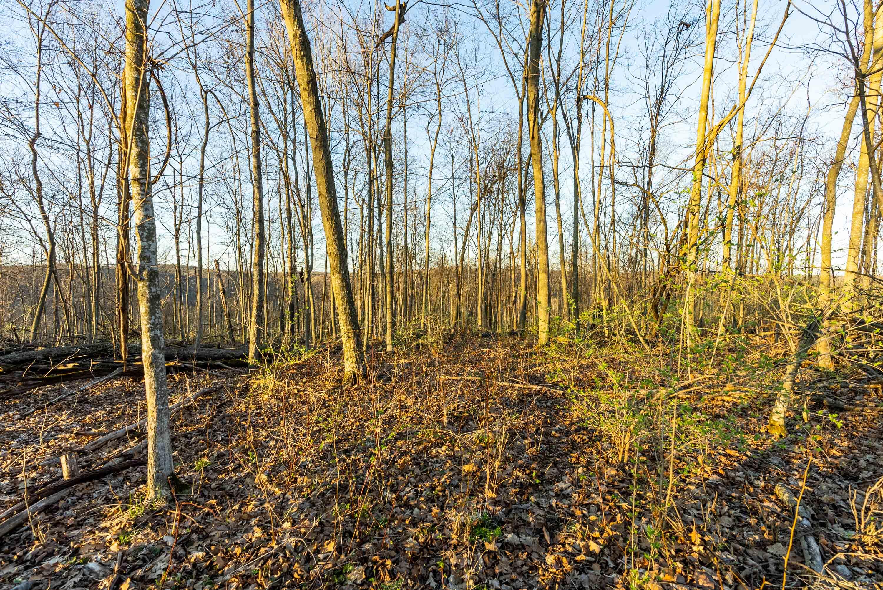 40009 County Road South Scott, WI 53518 - Photo 63 of 69 Crawford-County-WI-65-Acres-Land-For-Sal