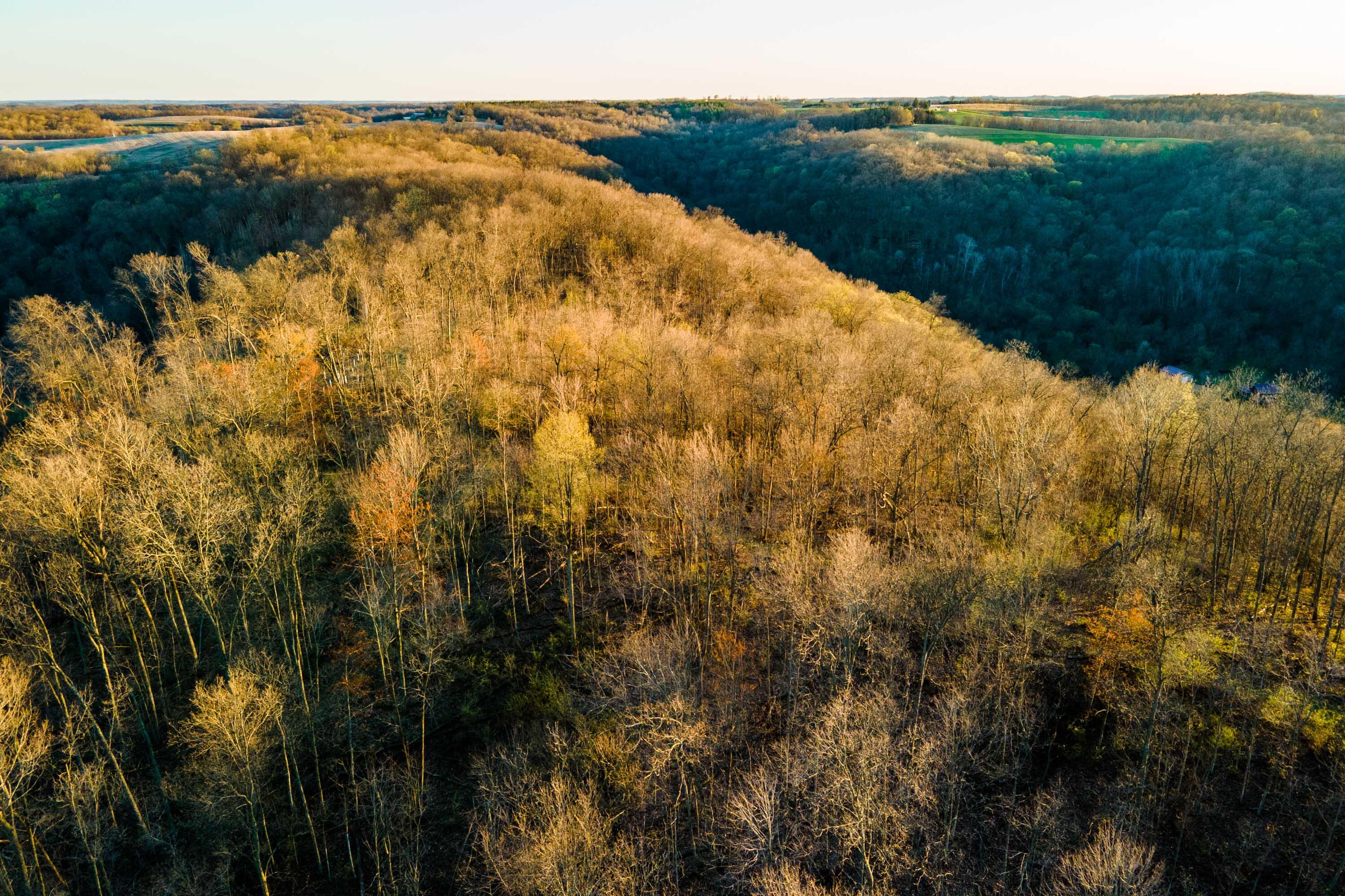 40009 County Road South Scott, WI 53518 - Photo 64 of 69 Crawford-County-WI-65-Acres-Land-For-Sal