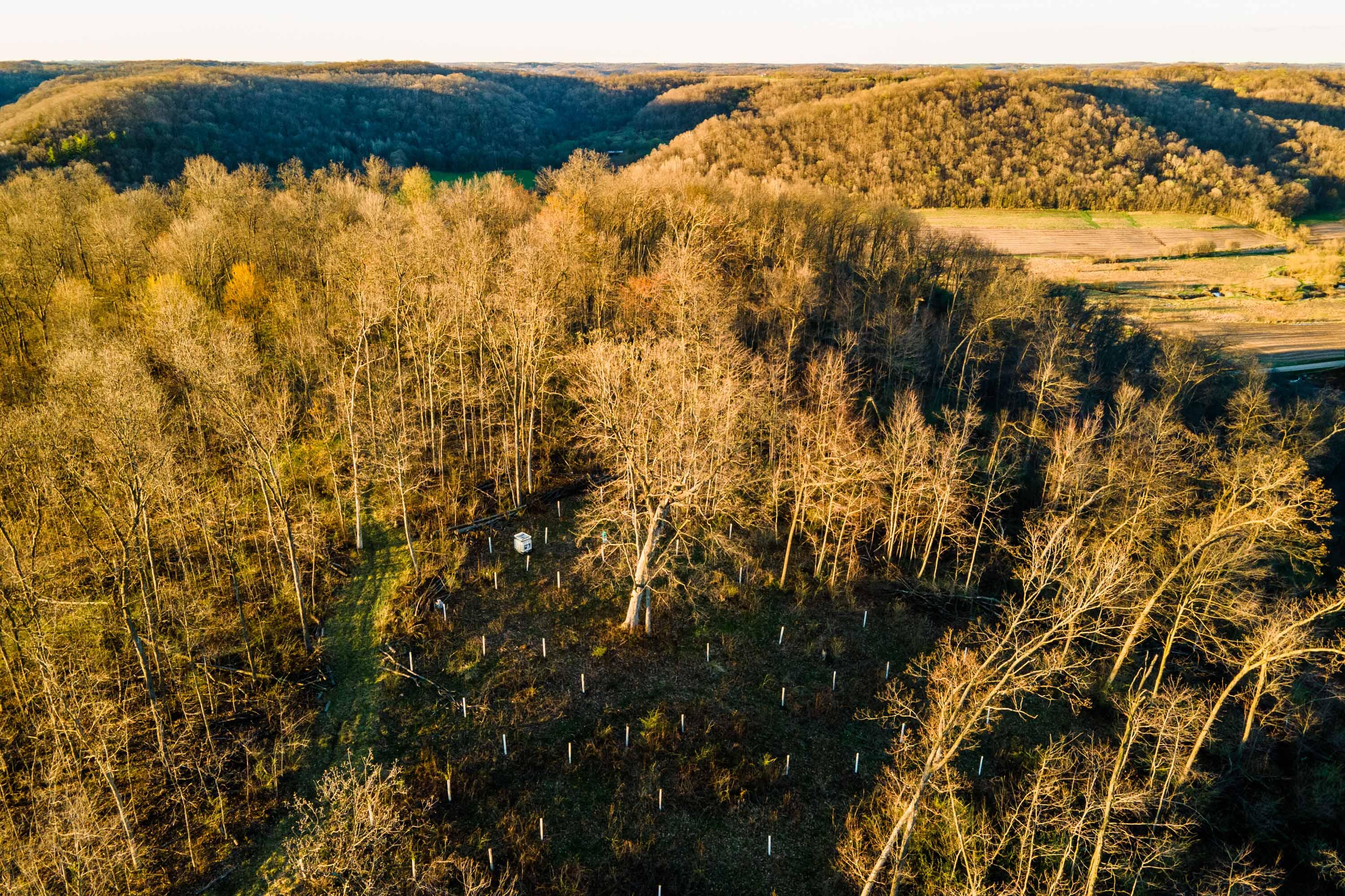 40009 County Road South Scott, WI 53518 - Photo 65 of 69 Crawford-County-WI-65-Acres-Land-For-Sal