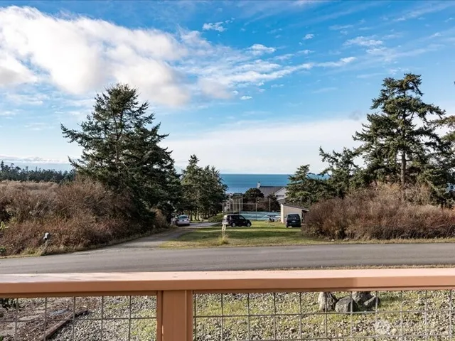 a view of a yard with large trees