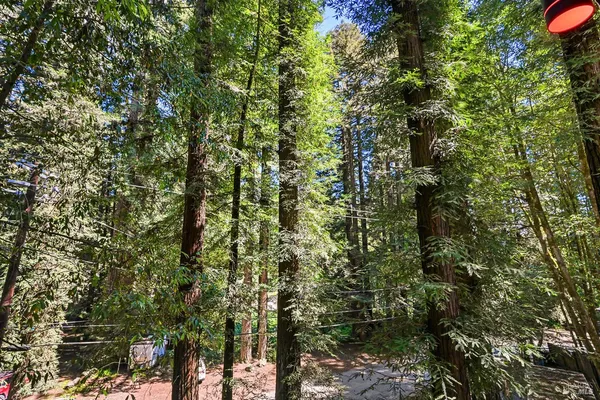 $1,650,000 | 14685 Willow Road, Guerneville, CA 95446