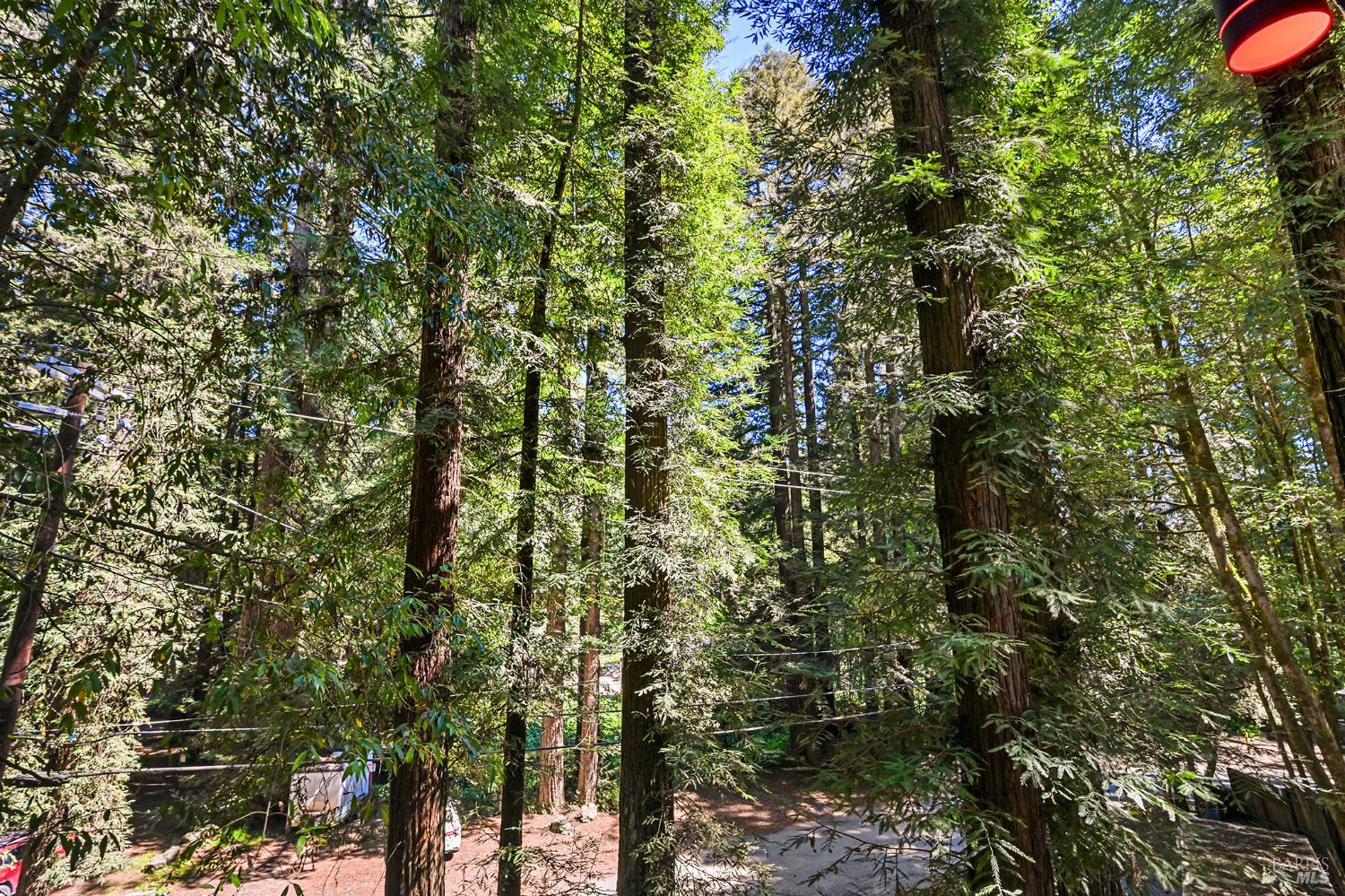 14685 Willow Road Guerneville, CA 95446 - Photo 75 of 84