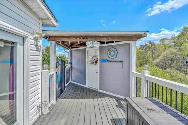 a view of a patio with a chairs and plants