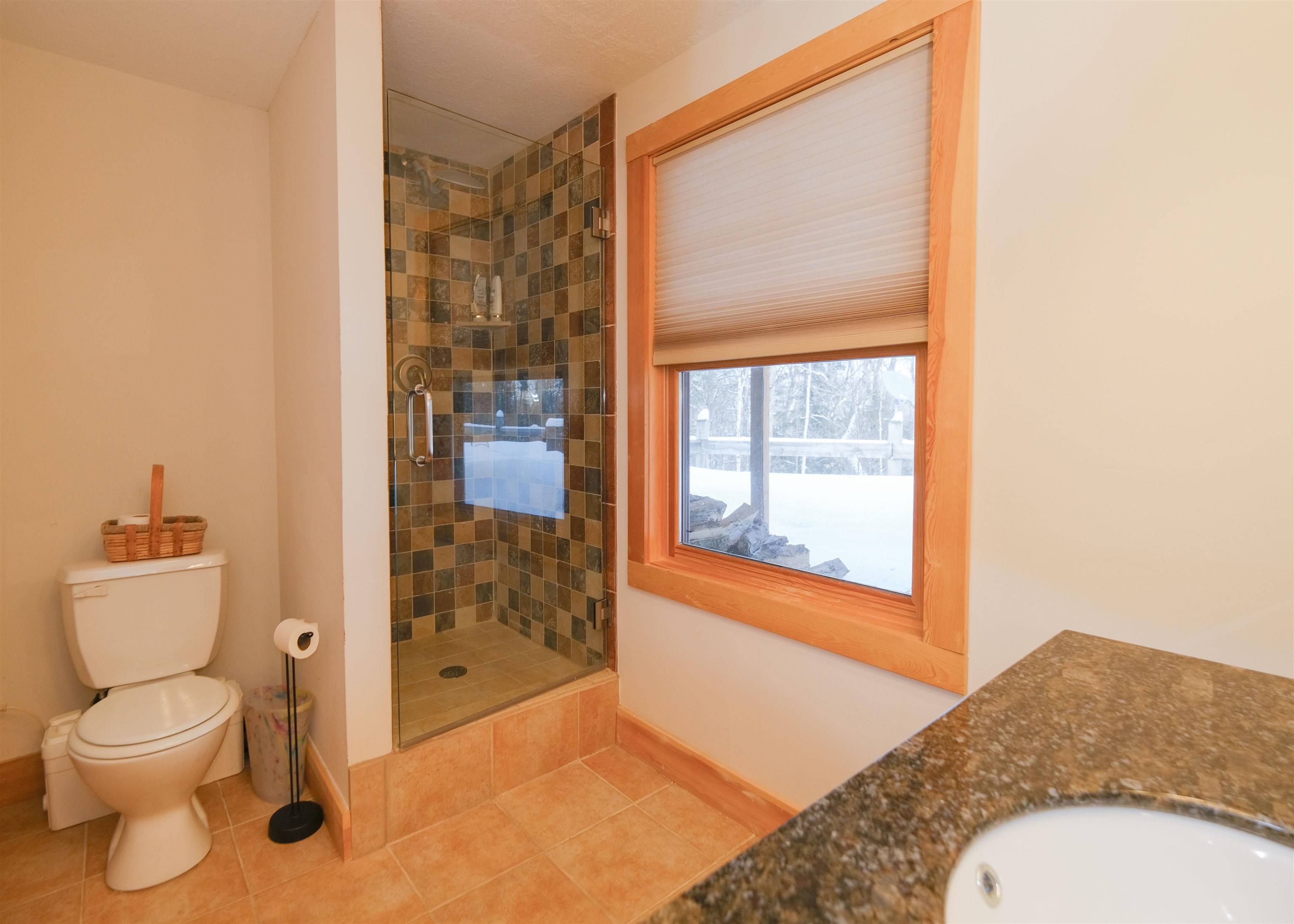 114 Mountain View Drive Ludlow, VT 05149 - Photo 47 of 60