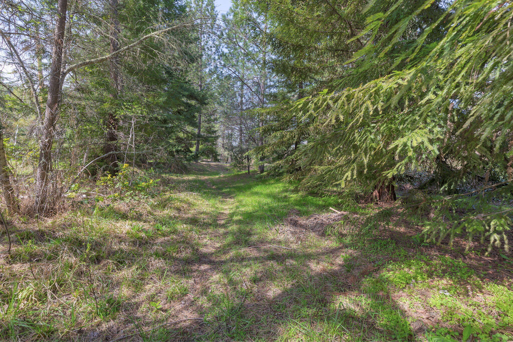 1090 Dunlap Road Jacksonville, OR 97530 - Photo 68 of 72 27-web-or-mls-1090-dunlap-rd