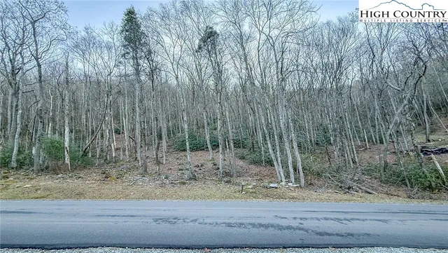 $125,000 | 61 Wildcat Wilderness Parkway, Deep Gap, NC 28618