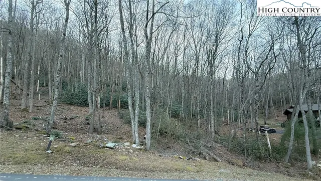 $125,000 | 61 Wildcat Wilderness Parkway, Deep Gap, NC 28618